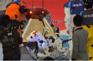 サンプルイメージ