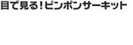 目で見る！ピンポンサーキット