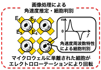 NEDO若サポ事業採択　呉高専オープンラボメンバーと研究開始